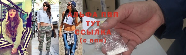 крисы Алзамай