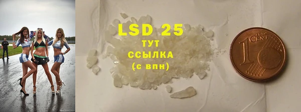 крисы Алзамай