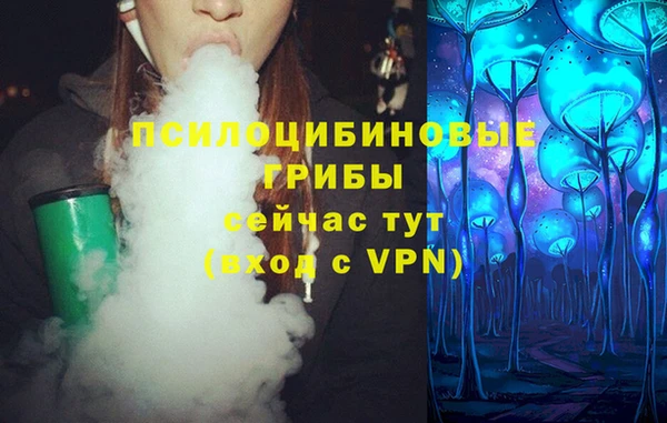 крисы Алзамай